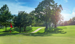 Carey Park Golf Course's Logo